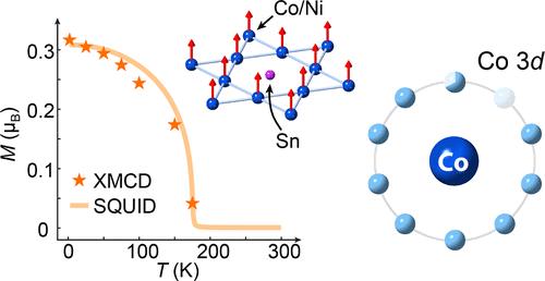 Unusually High Occupation of Co 3d State in Magnetic Weyl Semimetal Co3Sn2S2