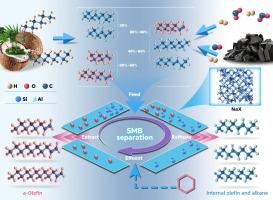 Efficient separation of long-chain alpha-olefins via NaX zeolite in simulated moving bed adsorption process