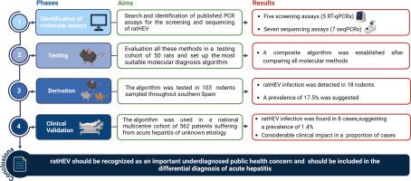 Rat hepatitis E virus as an aetiological agent of acute hepatitis of unknown origin