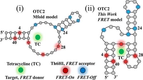 Harnessing a Fluorescent Nucleobase Surrogate for Supramolecular FRET-Aptamer Detection and Target-Site Mapping