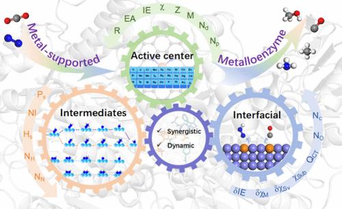 Digital Descriptors in Predicting Catalysis Reaction Efficiency and Selectivity