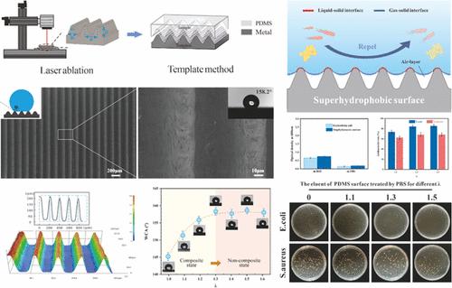 Effect of Surface Wettability Transition on the Antibacterial Performance of PDMS