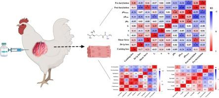 Protein lactylation in broiler breast: Insights on occurrence mechanisms and the correlations with meat quality