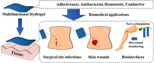 Hydrogel Adhesive with Tunable Multifunctionality by the Addition of Weak Bonds Based on Polydopamine for Versatile Wound Healing Applications and Biointerfaces