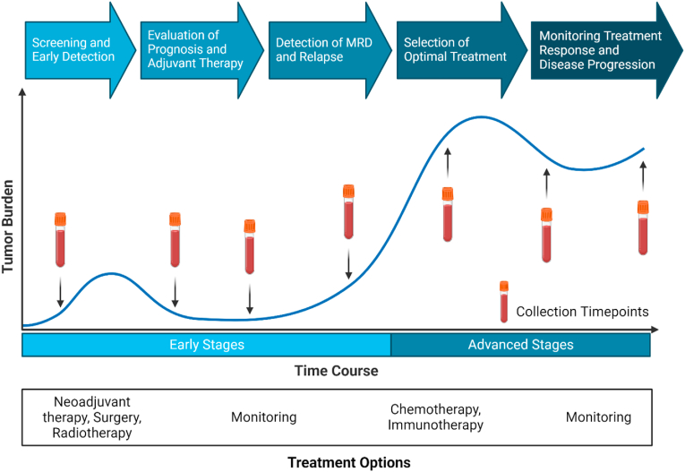 Epigenetic modifications of cfDNA in liquid biopsy for the cancer care continuum