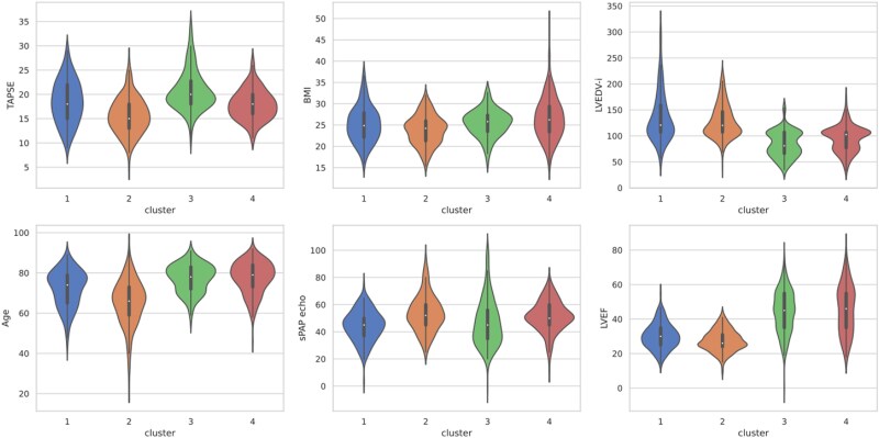 Machine-learning phenotyping of patients with functional mitral regurgitation undergoing transcatheter edge-to-edge repair: the MITRA-AI study.