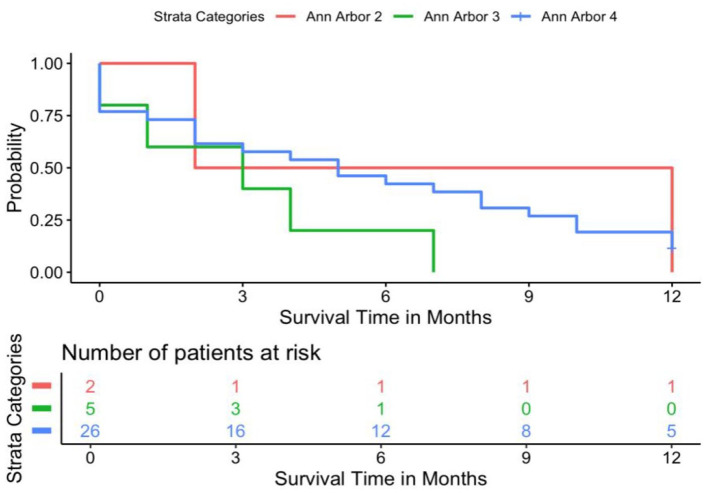 Experience in the management of patients with HTLV-1 positive adult T-cell leukemia/lymphoma in a Latin American center.