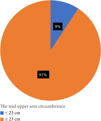 Undernutrition Among Pregnant Women in an Urban Municipality in Ghana: A Cross-Sectional Study.