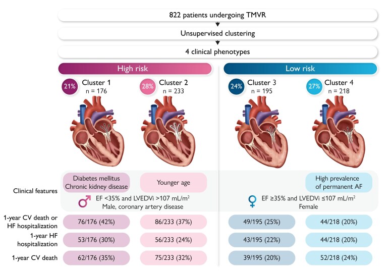 Machine-learning phenotyping of patients with functional mitral regurgitation undergoing transcatheter edge-to-edge repair: the MITRA-AI study.