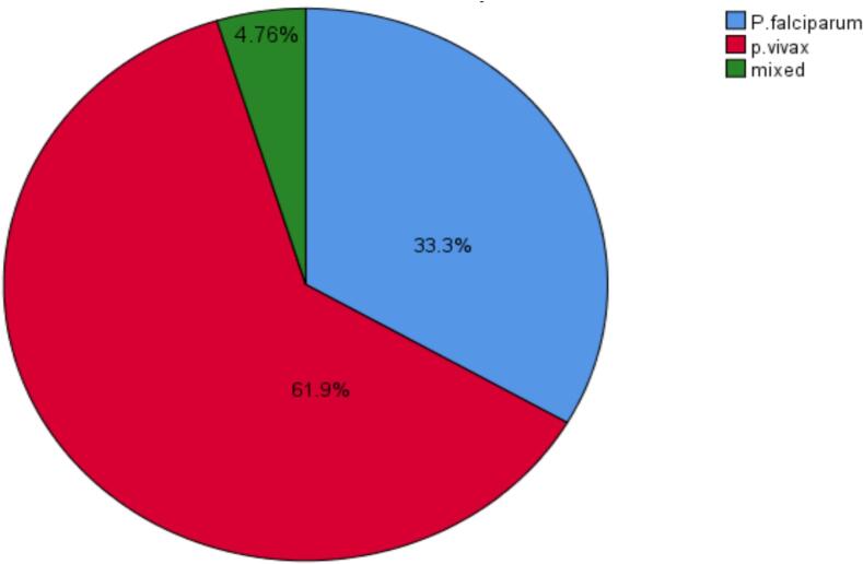 Magnitude of urban malaria and its associated risk factors in Damboya town, Kambata zone, Central Ethiopia