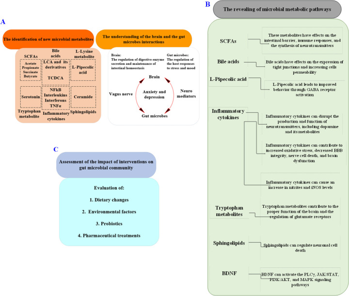 Using metabolomics to investigate the relationship between the metabolomic profile of the intestinal microbiota derivatives and mental disorders in inflammatory bowel diseases: a narrative review.