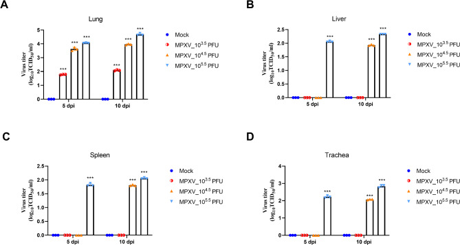 Establishment of an animal model for monkeypox virus infection in dormice.