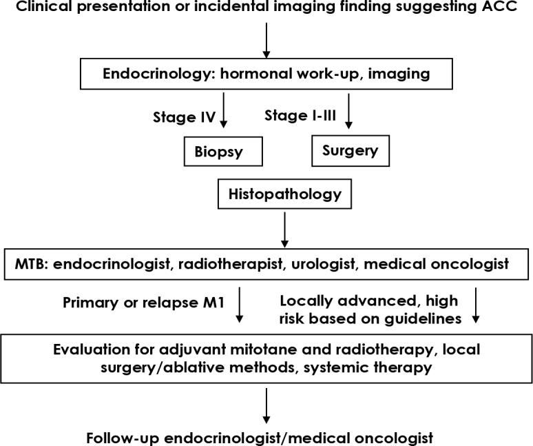 Management of adrenocortical carcinoma in Slovenia: a real-life analysis of histopathologic markers, treatment patterns, prognostic factors, and survival.