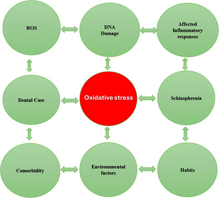 Insights into the schizophrenia and dental care: focusing on interaction between implant treatments and oxidative stress.