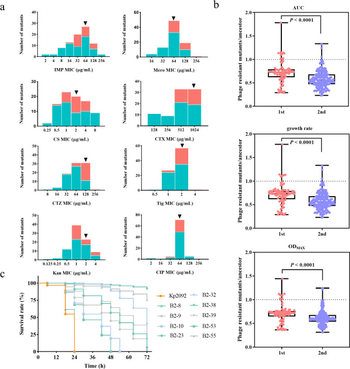 Phage-mediated virulence loss and antimicrobial susceptibility in carbapenem-resistant <i>Klebsiella pneumoniae</i>.