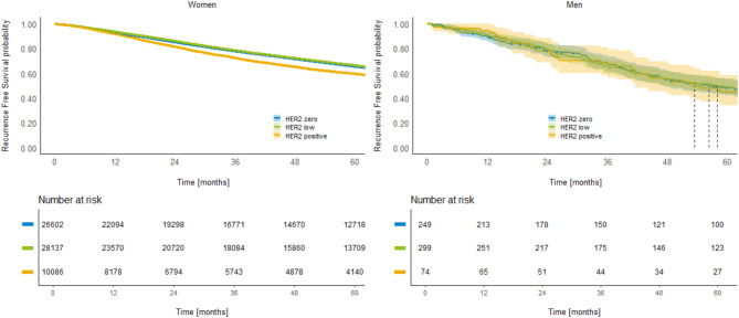 Clinical characteristics, metastasis patterns, and treatment outcomes of HER2-low breast cancer.