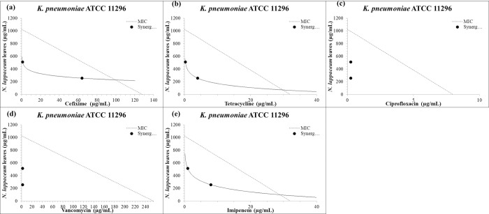 Potential of methanol extracts of Nephelium lappaceum (Sapindaceae) and Hyphaene thebaica (Arecaceae) as adjuvants to enhance the efficacy of antibiotics against critical class priority bacteria.