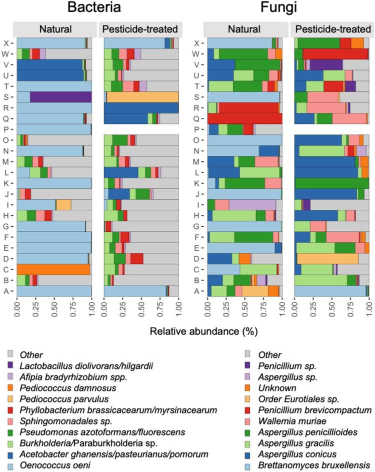 Comparative analysis of fungal and bacterial composition in natural wines and their closest pesticide-treated counterparts.