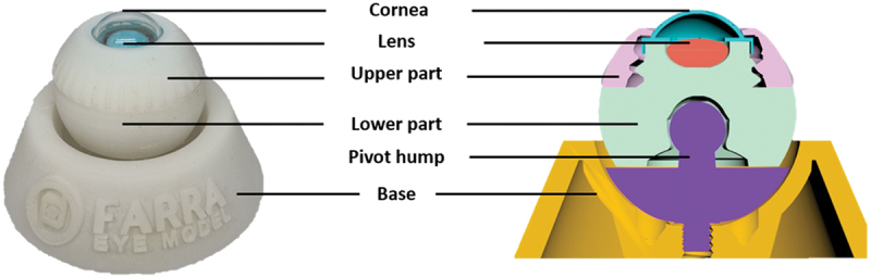 Face and Content Validity of Farra Eye Model as a Surgical Simulator for Capsulorhexis Training.