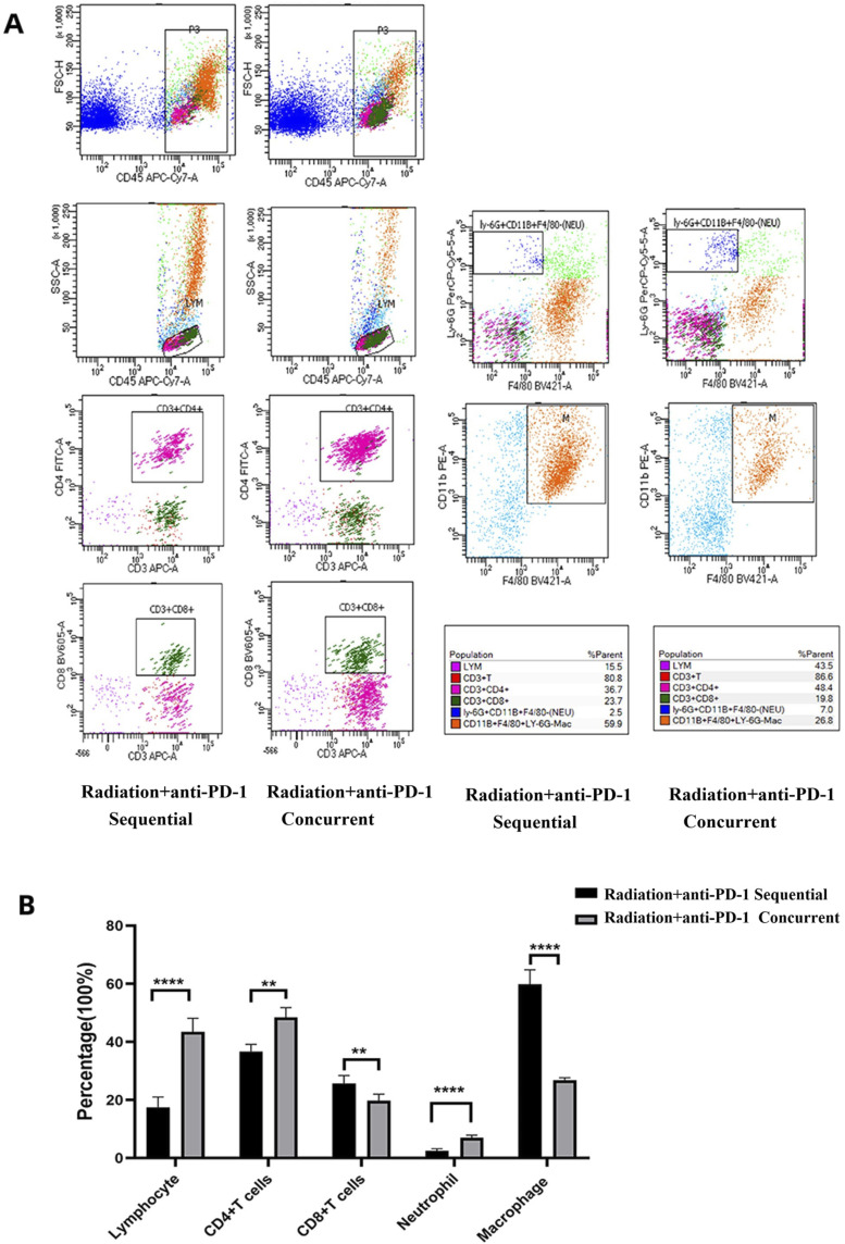Comparative Analysis of Concurrent vs Sequential Administration of anti-PD-1 Following Thoracic Radiotherapy: Impact on Lung Tissue Damage.