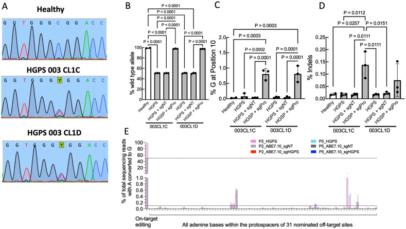 Adenine base editing rescues pathogenic phenotypes in tissue engineered vascular model of Hutchinson-Gilford progeria syndrome.