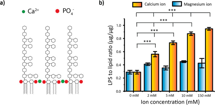 Factors Promoting Lipopolysaccharide Uptake by Synthetic Lipid Droplets.