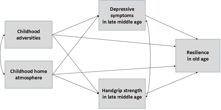 Childhood adversities and home atmosphere as determinants of resilience in old age: findings from the Helsinki birth cohort study.