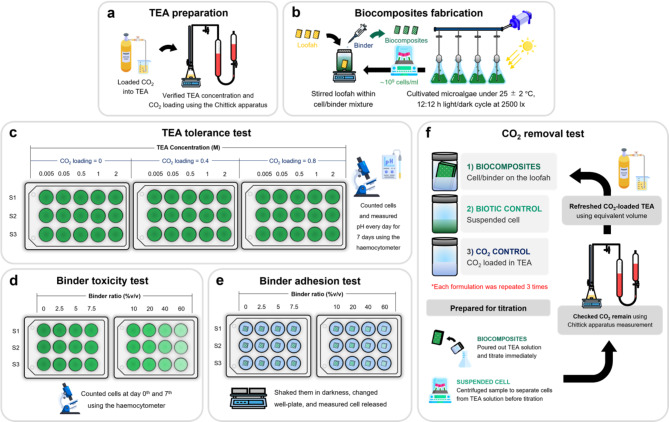 Carbon dioxide removal from triethanolamine solution using living microalgae-loofah biocomposites.