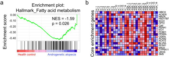 The role of lipids in promoting hair growth through HIF-1 signaling pathway.