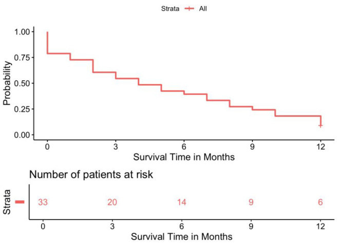 Experience in the management of patients with HTLV-1 positive adult T-cell leukemia/lymphoma in a Latin American center.
