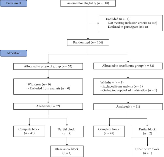 Perfusion Index Predicts the Effectiveness of Supraclavicular Brachial Plexus Block in Children Under General Anesthesia: A Randomized Controlled Trial.