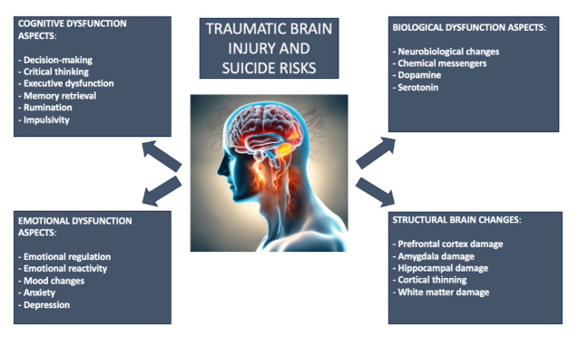 The Relationship Between Traumatic Brain Injury and Suicide: A Systematic Review of Risk Factors.