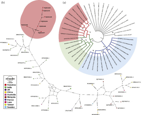 First Report of Hand, Foot, and Mouth Disease (HFMD) Outbreak in the West Bank, Palestine: Molecular Characterization of Coxsackievirus A16 (CV-A16).