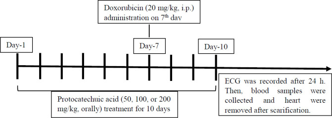 Cardioprotective potential of protocatechuic acid against doxorubicin-induced cardiotoxicity in rats.