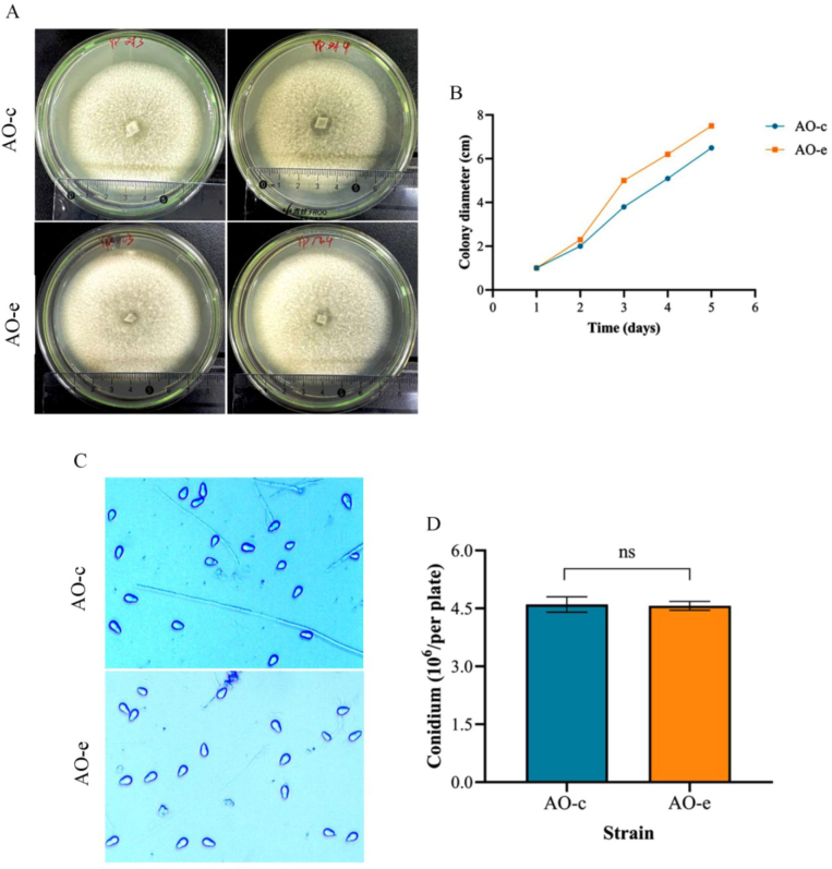 Proteomic insights into nematode-trapping fungi <i>Arthrobotrys oligospora</i> after their response to chitin.