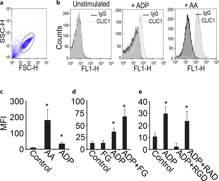 CLIC1 Supports Mechanisms Related to Platelet Activation and Thrombosis.