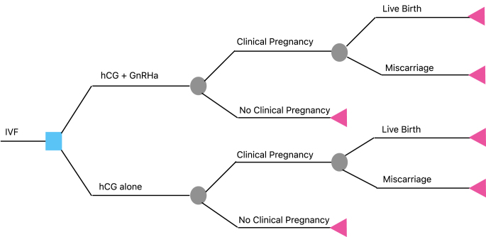 A cost analysis of hCG trigger alone versus dual trigger for achieving live birth following in vitro fertilization.