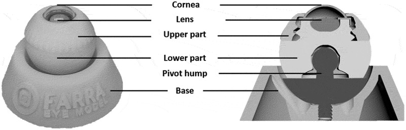 Face and Content Validity of Farra Eye Model as a Surgical Simulator for Capsulorhexis Training.