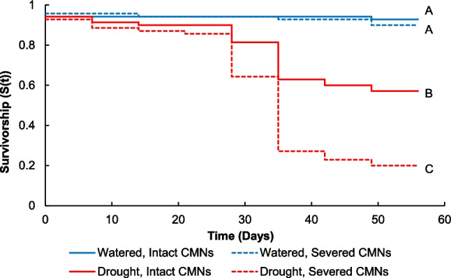 Common mycorrhizal networks improve survival and mediate facilitative plant interactions among Andropogon gerardii seedlings under drought stress.