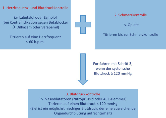 [What is new in the management of peripheral arterial occlusive disease and diseases of the aorta? : Highlights of the ESC guidelines 2024].