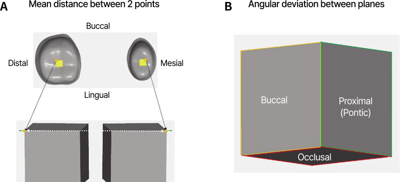 Deformation analysis of 3D-printed three-unit fixed partial dentures according to various cleaning strategies after DLP 3D printing: a geometric library matching approach.