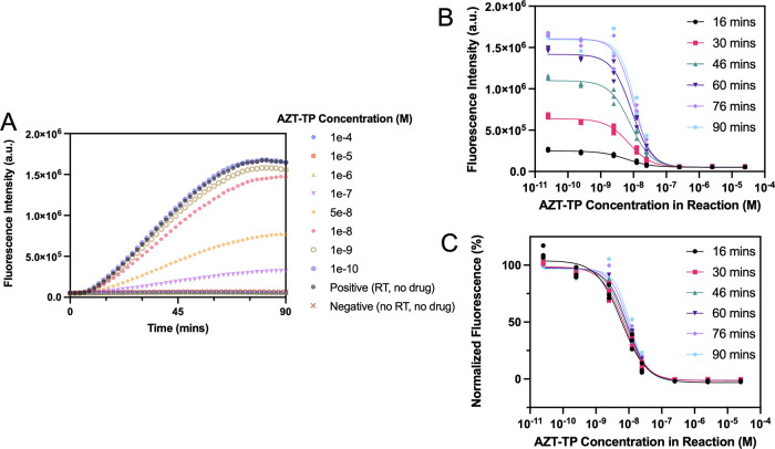 Rapid Enzymatic Assay for Antiretroviral Drug Monitoring Using CRISPR-Cas12a-Enabled Readout.