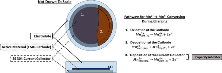 The Role of Catholyte Modulation in Suppressing the Initial Capacity Fade of Zinc Electrolytic Manganese Dioxide Coin Cells.