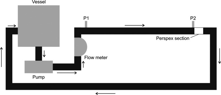 Optical Coherence Tomography Velocimetry for In-Line Processing: Velocity Profiles and the Intermittency of Opaque Complex Fluids In Situ.