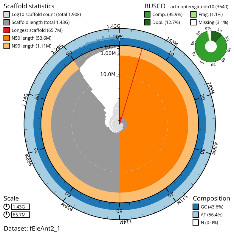 The genome sequence of the Antarctic lanternfish, <i>Electrona antarctica</i> (Günther, 1878).