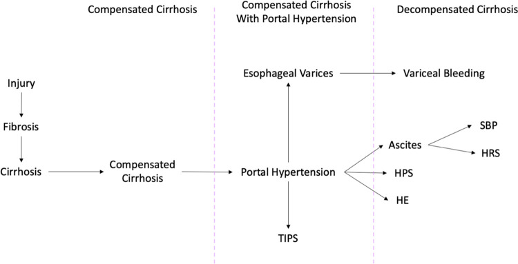 Disease trajectory and competing risks of patients with cirrhosis in the US.
