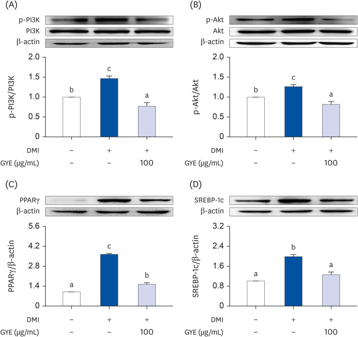 Anti-obesity effects of ethanol extract of green <i>Citrus junos</i> peel enriched in naringin and hesperidin <i>in vitro</i> and <i>in vivo</i>.