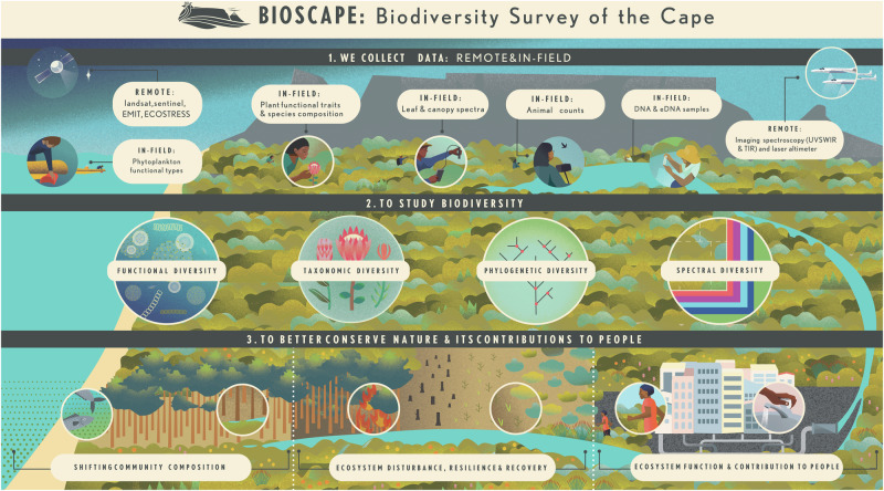The biodiversity survey of the Cape (BioSCape), integrating remote sensing with biodiversity science.