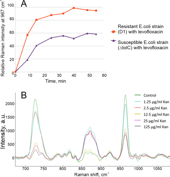 Rapid Raman spectroscopy-based test for antimicrobial resistance.