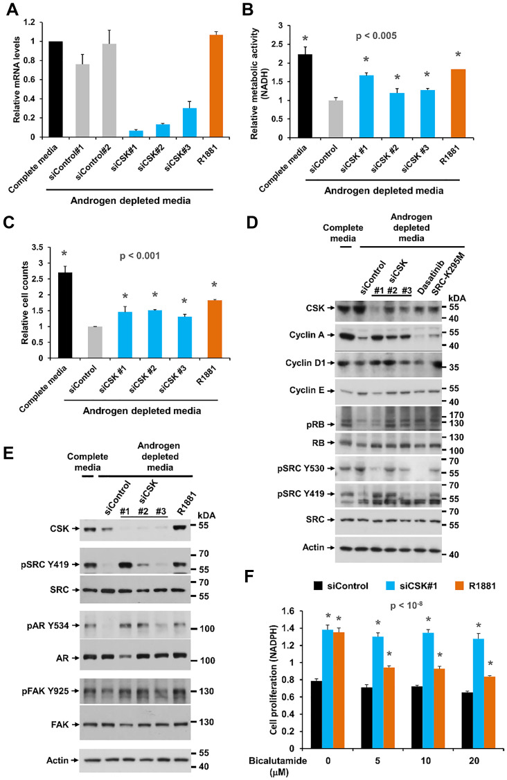 Correction: Downregulation of c-SRC kinase CSK promotes castration resistant prostate cancer and pinpoints a novel disease subclass.
